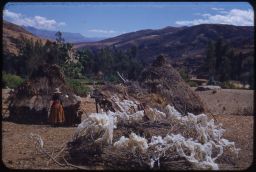 Vicosina woman by hut with wool drying on hay