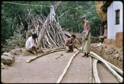 Preparing bamboo for craft work