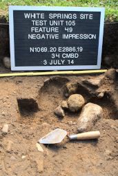 Negative Impression of a Probable Large Seneca-Era Post (Feature 49) at the White Springs Site