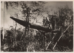 New Guinea. Douwes Dekker Photograph of Death Rituals