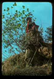 Rukhako Thutoma baseko Mahila (रुखको ठुटोमा बसेको महिला / woman sitted on a log of tree)