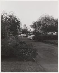 Cars in a parking lot in Baldwin Hills Village.