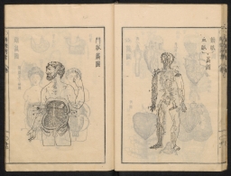 解體新書 / Kaitai shinsho / Tabulae Anatomicae in quibus corporis humani omniumque ejus partium structura et usus brevissime explicantur