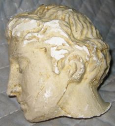 Female head