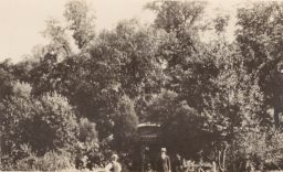 Two men in foreground, gazebo and trees in rear