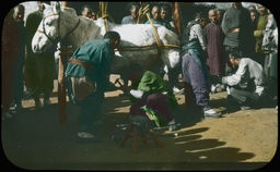 Men repair the hooves of a horse, held in place by ropes