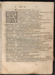 First page of the A entries of Aqui Comiença un Vocabulario en la Lengua Castellana y Mexicana.