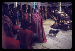 Ani tatha anya manisharu darshan dhog gardai (आनी तथा अन्य मानिसहरु दर्शन ढोग गर्दै / Nun and Others Bowing Down and Praying God)