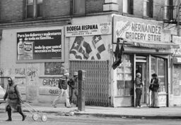 Hermanos Hernandez Grocery Store, Prospect Ave., Bronx
