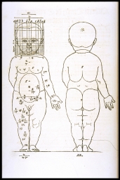 [Proportions of the human male child] (from Dürer, Proportion)