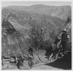 Typical peasant dwelling with corn hung on bush to dry Casa Típica- vease al fondo el maiz secando end arbusto