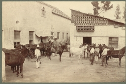 Shoeing the Mules (Mexican Village Scene) 