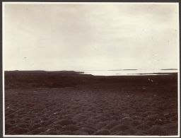 Berserkjahraun in distance. N. Coast, Snæfellsnes 
