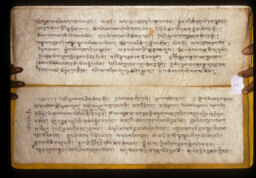 paramparagat lama grantha pustak (परम्परागत लामा ग्रन्थ पुस्तक / Traditional Lama Text Book)