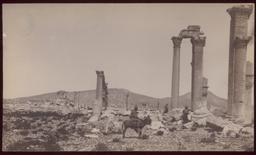 Wolfe Expedition: Palmyra, Great Colonnade