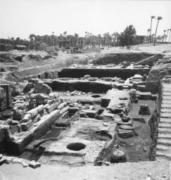 Memphis, Egypt excavations by University of Pennsylvania archeological team, panoramic view