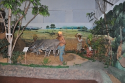 Sri Lanka National Museum agricultural exhibit (declared open 2012)