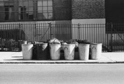 Garbage cans, Bronx