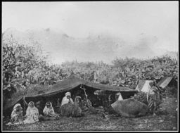 A group of indigenous people, under a low-lying tent, with a camel