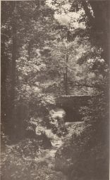 Stone path foreground, arched bridge, and trees (vertical)