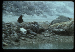 manis nadi kinarma bisram gardai (मानिस नदी किनारमा विश्राम गर्दै / Man Taking a Rest Along the Bank of a River)