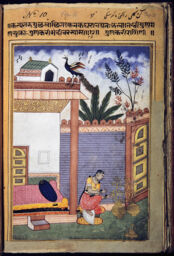 Set 8: Provincial Mughal, Gunkali