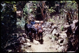 Tavalam caravan entering main settlement