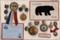 McKinley-Theodore Roosevelt Campaign items, ca. 1900