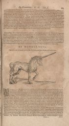 Illustration of de monocerote, or unicorn