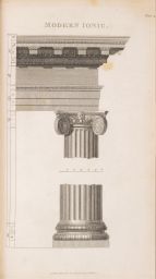 Modern Ionic Column