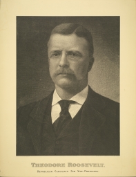 Theodore Roosevelt: Republican Candidate for Vice-President