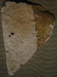 Relief, unidentified fragment