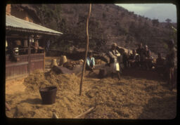 manisharu (मानिसहरु घर आगनमा काम गरेर थकाई मार्दै / Peoples Are Surveying Thrashed Millet)