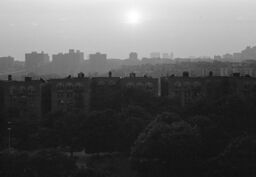 Bronx skyline