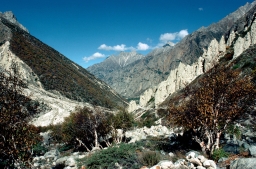 Mountain Peaks Over the Path From Gangotri to Gaumukh