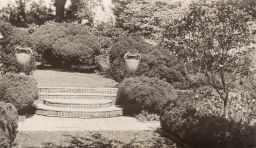 Garden steps and urns (first week of May, 1935)