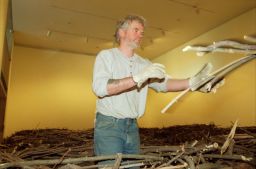 Andy Goldsworthy reaching for a bundle of sticks while creating an installation at the Johnson Museum, Cornell University.
