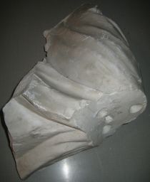 Draped arm, fragment