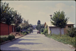Lane in a residential area of the city, featuring detached single-family cottages (Belgrade, RS)