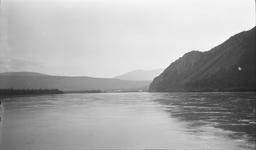Eagle on Yukon River