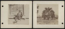Album page with portrait of seated man on porch on one side, palm tree on verso