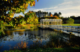 Cornell Plantations - pond in Newman Arboretum