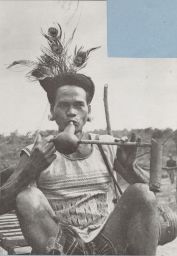 Man Playing Instrument