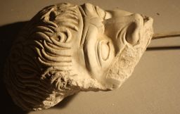 Figure D (head of Centaur from group of figs. D and E), West pediment, Temple of Zeus, Olympia