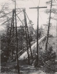 Suspension Bridge over Fall Creek