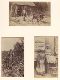 Three photographs of men and women working