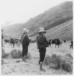 Cattle herder Vaqueros Pomahamba