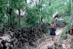 Main North-South Path in Rangama* Village