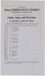 Broadside - Gang of Thirty-Seven Negroes For Sale (In Families)