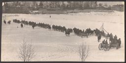 Horses and wagons in field at Cornell in possible parade or drill